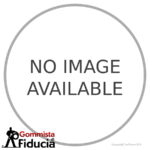 DUNLOP - 120/ 80 - 14 SCOOTSMART TL 58 S