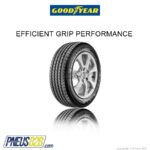 GOODYEAR - 205/ 55 R 16 EFFICIENTGRIP PERFORMANCE (FI) TL 91